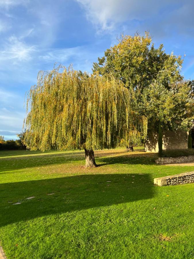 Bed and Breakfast La Girarde Saint-Quentin-de-Caplong Екстер'єр фото