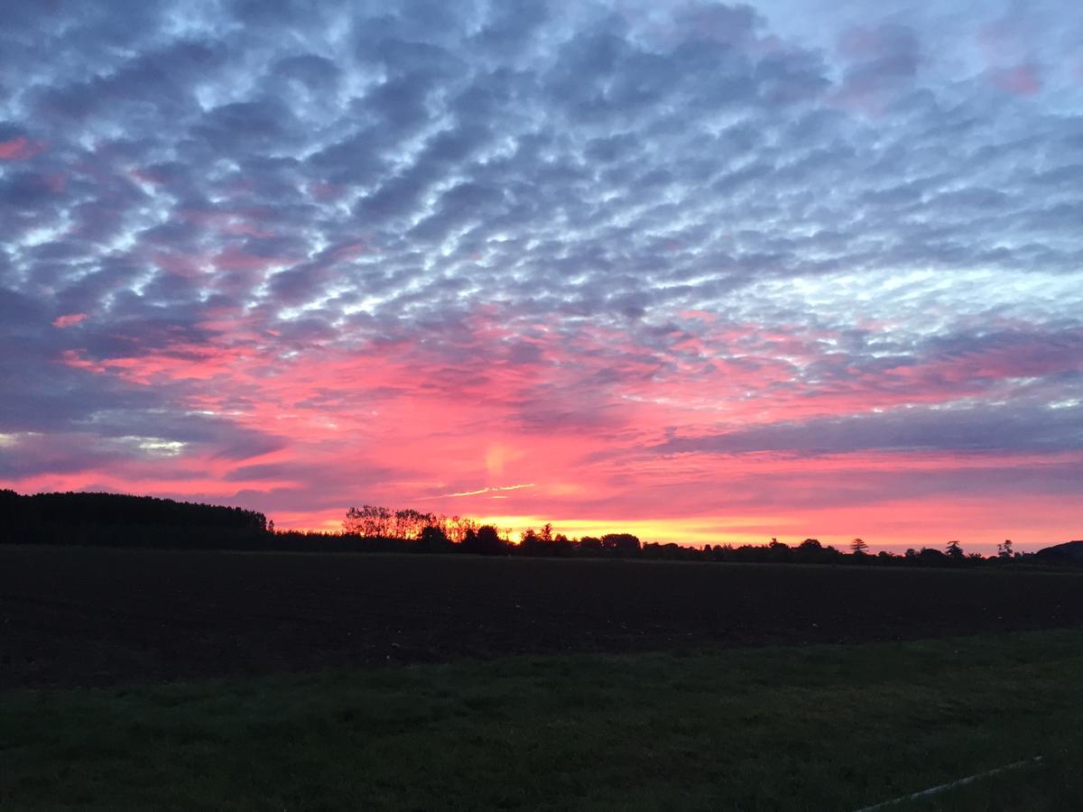 Bed and Breakfast La Girarde Saint-Quentin-de-Caplong Екстер'єр фото