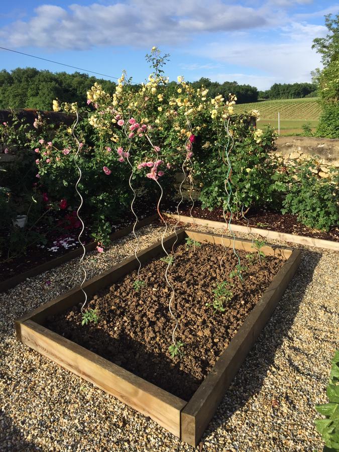 Bed and Breakfast La Girarde Saint-Quentin-de-Caplong Екстер'єр фото